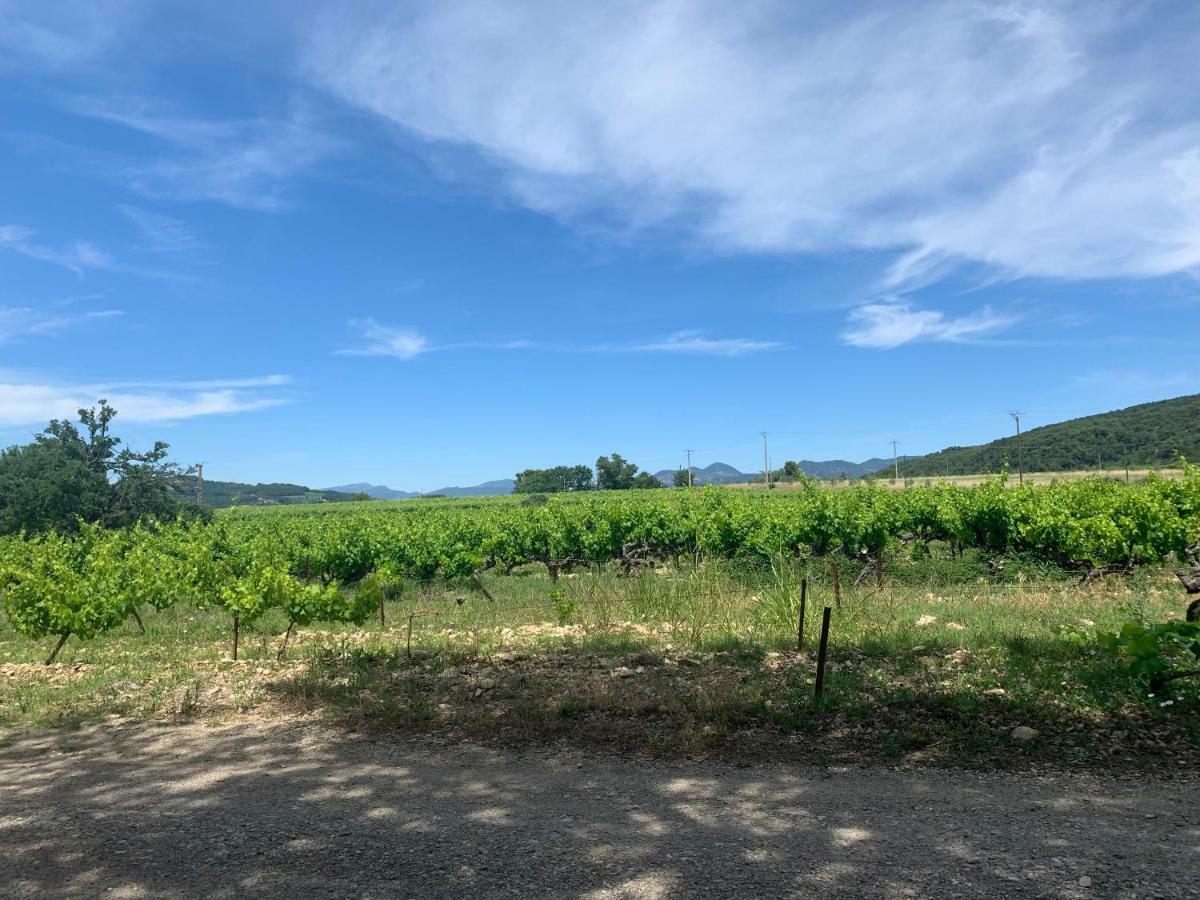 Villa Les Granges Vaison Saint-Marcellin-les-Vaison Bagian luar foto
